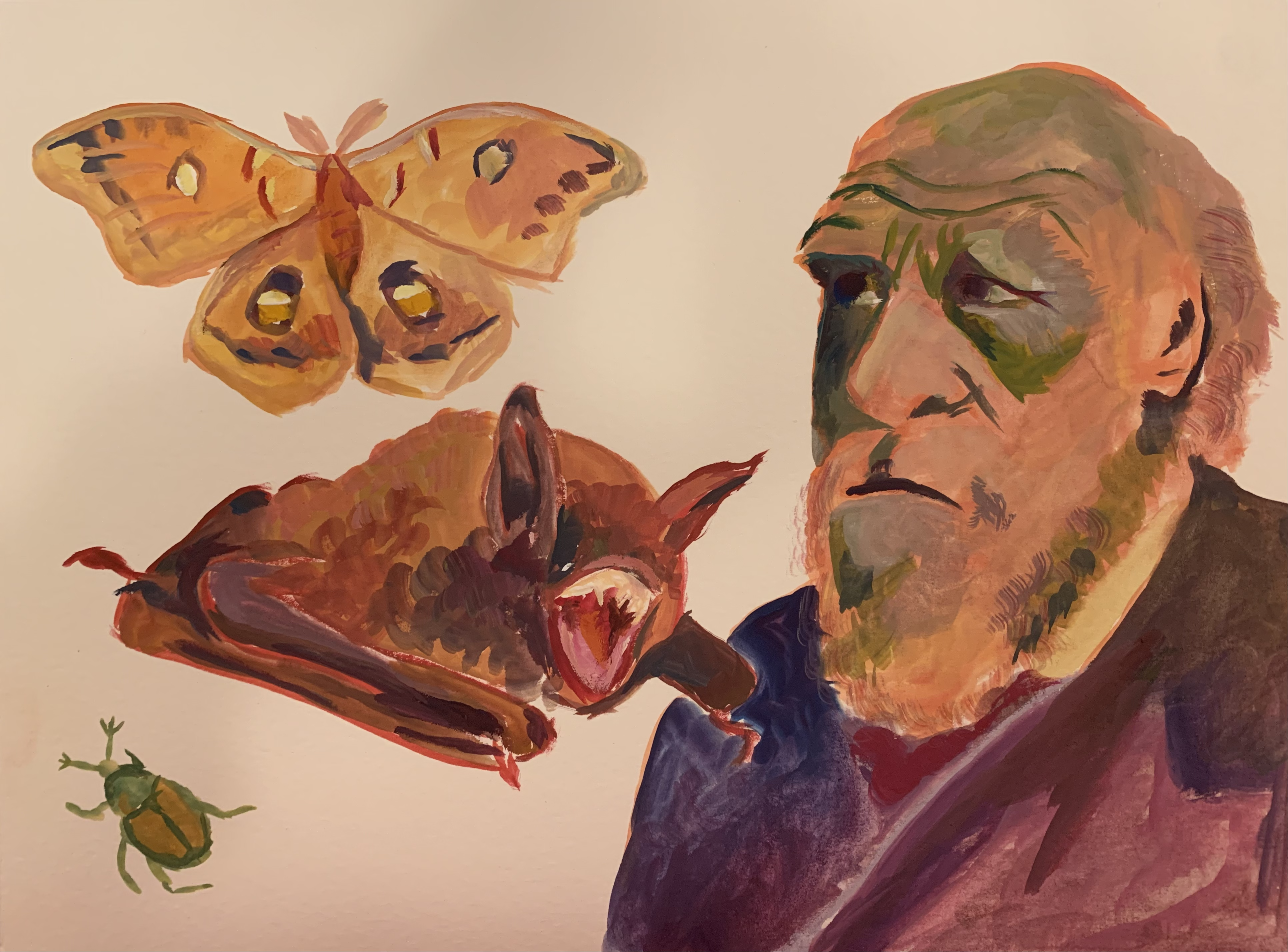 Darwin, bat and bugs